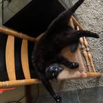 Frank Stepp - @frankstepp75 - Instagram
