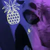 frandismey😛😜 - @frankostich - TikTok
