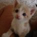 Frank Stich - Facebook