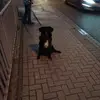 Frank Sticht - @franksticht - TikTok