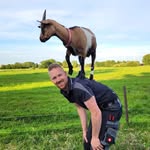 @franks_tiere - Instagram