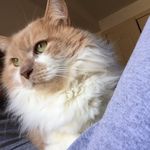 Francis Stoddard - @francisstoddard - Instagram