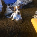 Frank Storm - @frankstormbringer - Instagram