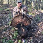 Frank Stover - @frankstover_wv - Instagram