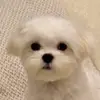 Frankstrack - @frankstrack3 - TikTok