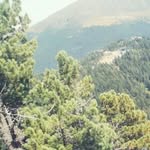 Frank Strauß - @frankstrau - Instagram