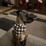 C Frank Stroud - @cfrankstroud - Instagram