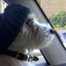Frank Stuckey - Facebook
