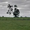 frankstyles94 - @bad.life.decisions_ - TikTok