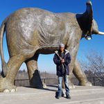 Frank Subero - @frank.subero.58 - Instagram