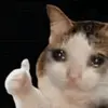 lilly - @frankoceansuber - TikTok
