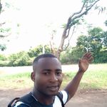 Frank Sultan - @franksultan1 - Instagram