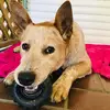 Frankie-Cassidy24 - @frankiesupple - TikTok
