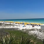 Frank Sweatt - @franksweatt - Instagram