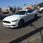 Frank Tantillo - @mr.ecostang - Instagram