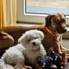 Frank Tappe - @frank.tappe - TikTok