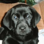 Frank Tapper - @tapper.frank - Instagram