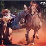 Francisco Tapparo Ito - Médico Veterinário CHICÃO - @ftimedvet - Instagram