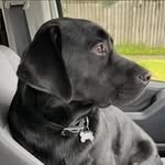 Cliff Jo Maher - @frankie_tapping - Instagram