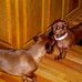 Frank Tarnowski - Facebook