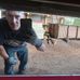 Frank Tasker - Facebook