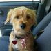 Frank Tatar Jr. - Facebook