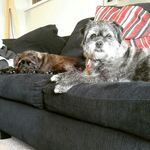 frank and lola teague - @franken_lolz - Instagram