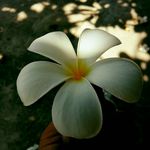 Frank Teeradet - @frankteeradet - Instagram