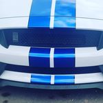 Frank Teller - @heigradoc - Instagram