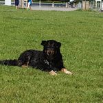 Frank Thiessen - @frankwiebrowkabelmaildefrankwi - Instagram
