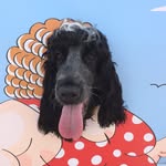 Frank Tingle - @frank.tingle.uk - Instagram