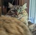 Frank Tipton - Facebook