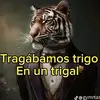 frank toro - @frank.toro58 - TikTok
