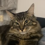Frank - @frank_trahan - Instagram