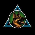 Frank | Dog Trainer - @frankly__k9 - Instagram