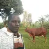 Frank Trainer - @kiwanuka.frank5 - TikTok