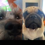 @frank.tyson69 - Instagram
