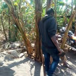 Frank Tyson - @franktyson6452 - Instagram