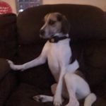 @tyson_frank - @tyson_frank6 - Instagram