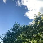 Frank Seutter - @frankseutter - Instagram