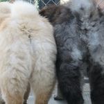 Frank Sutter - @frank.sutter.355 - Instagram