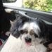 Frank Vaccaro - Facebook
