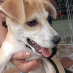 Frank Alegria Valverde - @franlimvalverde - Instagram