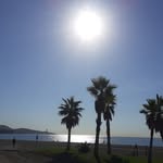 Frank Valverde - @frankvalverde5 - Instagram