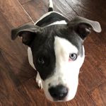Frank Del Vecchio - @knarfled - Instagram