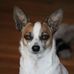 Frank Vecchio - Facebook