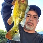 Frank Veltri - @frank.veltri.35762 - Instagram