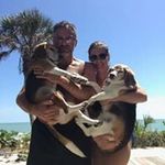 Frank Vescio - @frankandlauren - Instagram