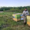 𝕍𝕚𝕔𝕥𝕠𝕣 𝔽𝕣𝕒𝕟𝕜 🧒🐝 - @victor.frank1 - TikTok
