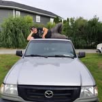 Frank Villard - @ultimately_psyche - Instagram